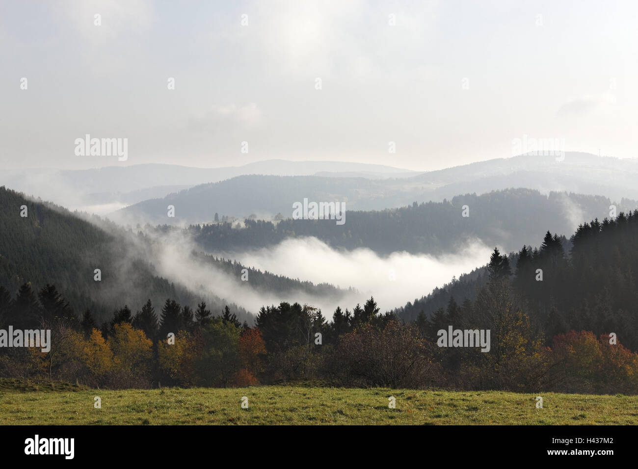 Germany, Thuringia, Schwarzatal, view, fog, clouds, place of interest, destination, tourism, scenery, hill, wood, trees, season, autumn, deserted, Schiefergebirge, Stock Photo
