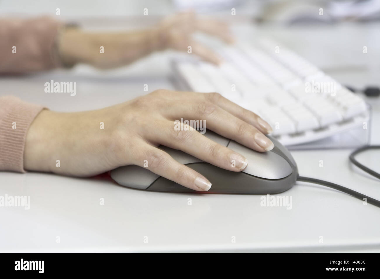 Women's hands, keyboard, data entry, Mouse, detail, Stock Photo
