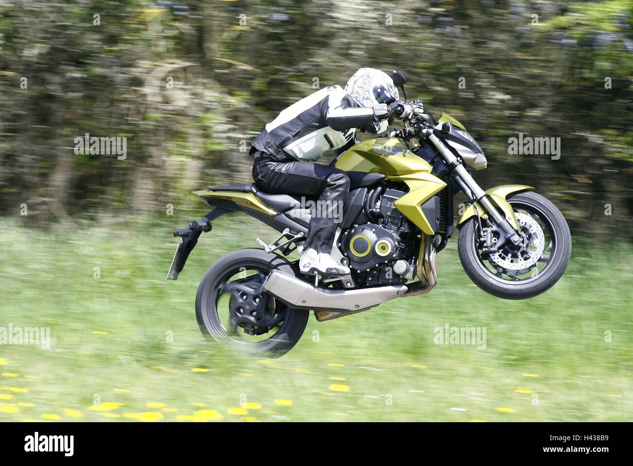 Honda CB 1000 R, journey, Wheelie, meadow, preview, Stock Photo