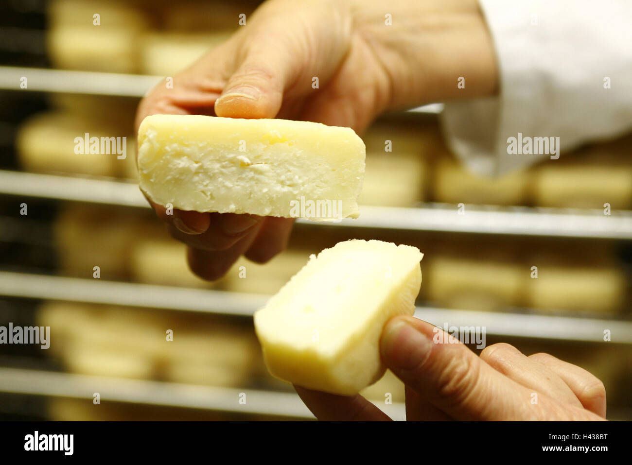 Cheese dairy, maturity chamber, man, detail, hands, cheese, degree ripeness, check, Stock Photo