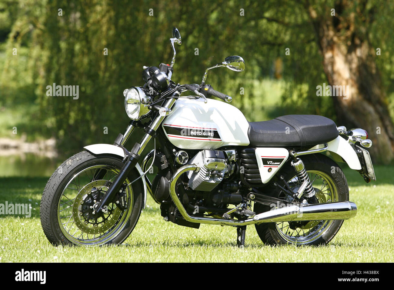 Moto Guzzi V7 Classic, preview, meadow, Stock Photo