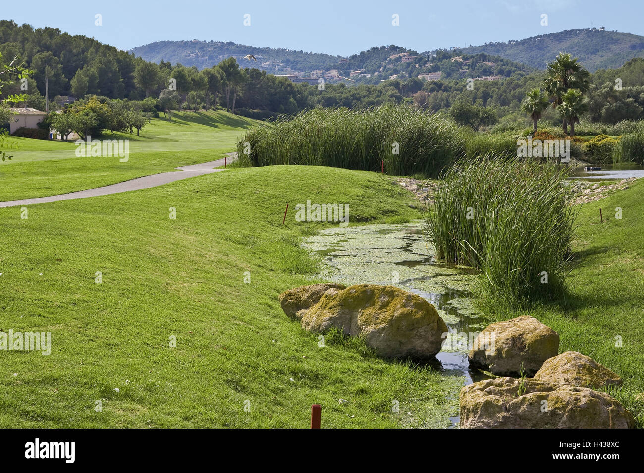 Spain, the Balearic Islands, island Majorca, Son Muntaner, golf course, Stock Photo