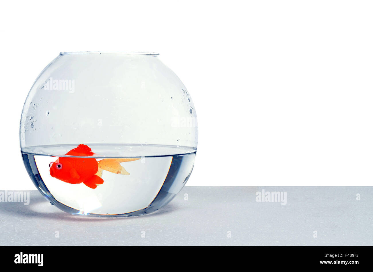 fish tank toys for goldfish