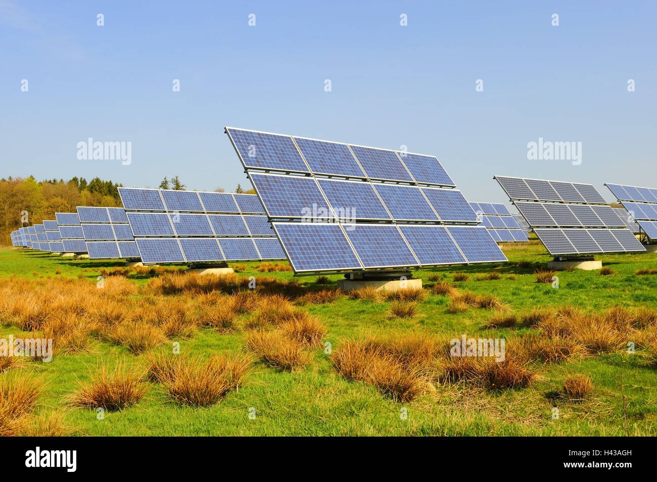 Meadow, solar collectors, solar cells Stock Photo Alamy