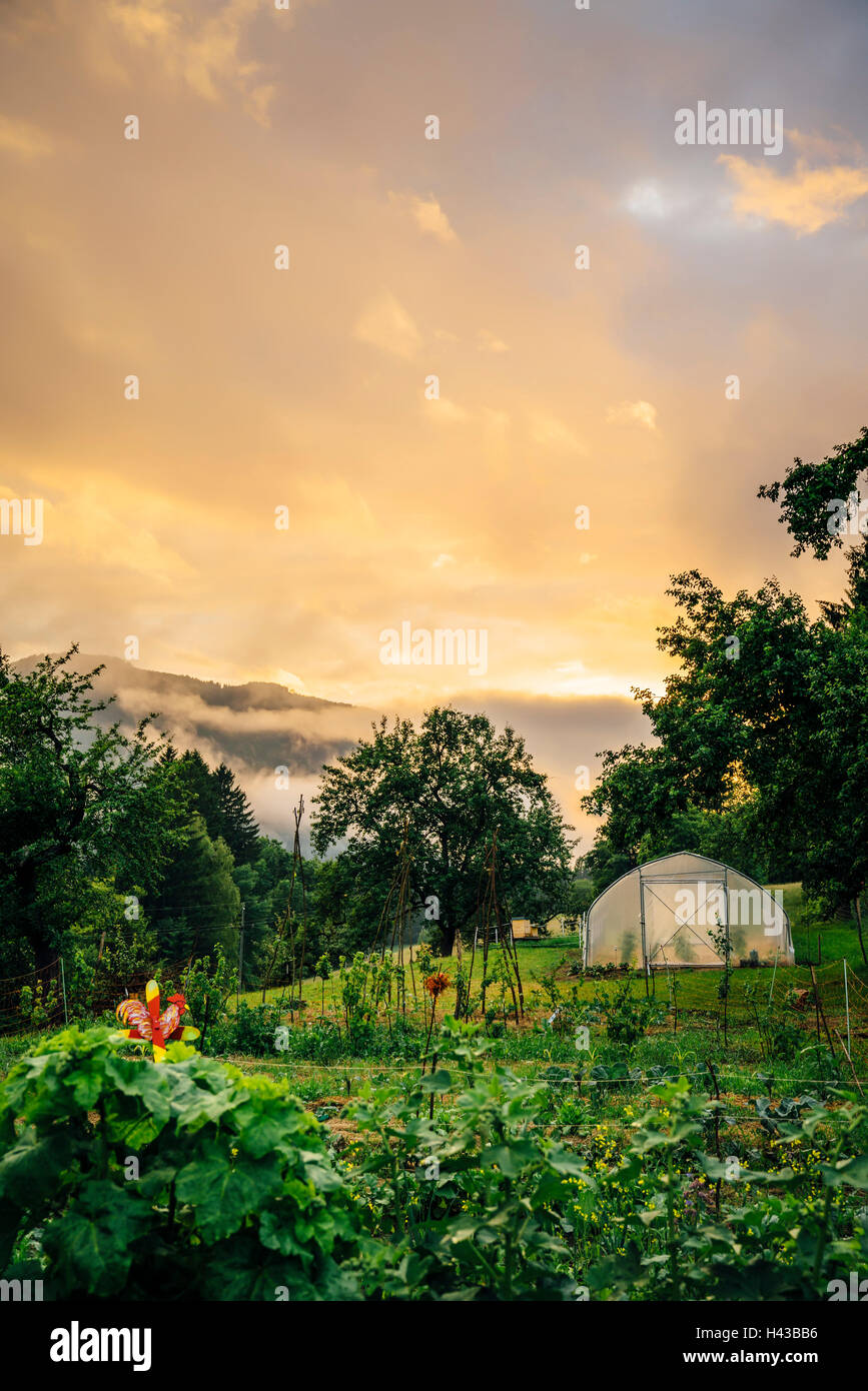 Sunset over greenhouse and garden Stock Photo