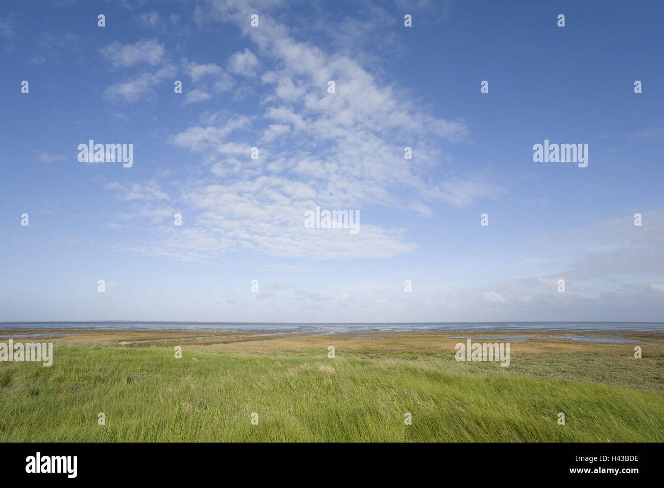 Mud flats with salt hi-res stock photography and images - Alamy