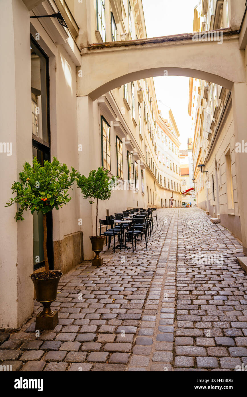 Narrow curve cobblestone road hi-res stock photography and images - Alamy