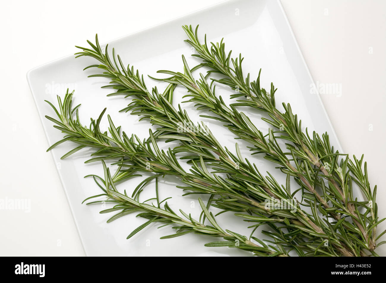 Rosemary twigs on plate, Stock Photo