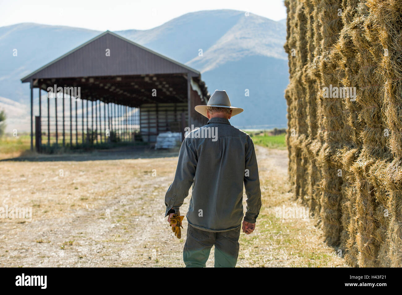 Caucasian farmer walking near stacks of hay Stock Photo