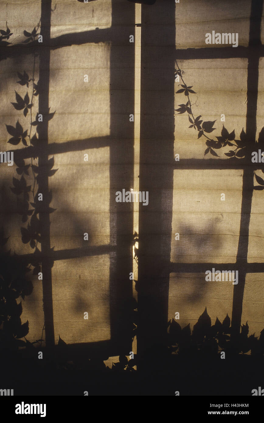 Windows Curtain Detail Shade Window Crosses Climbing