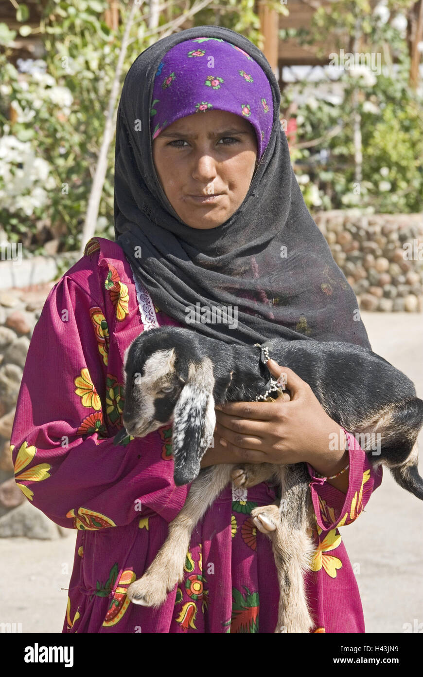Egypt, bedouin's girl, goat, Africa, Upper Egypt, person, locals, girls, child, young persons