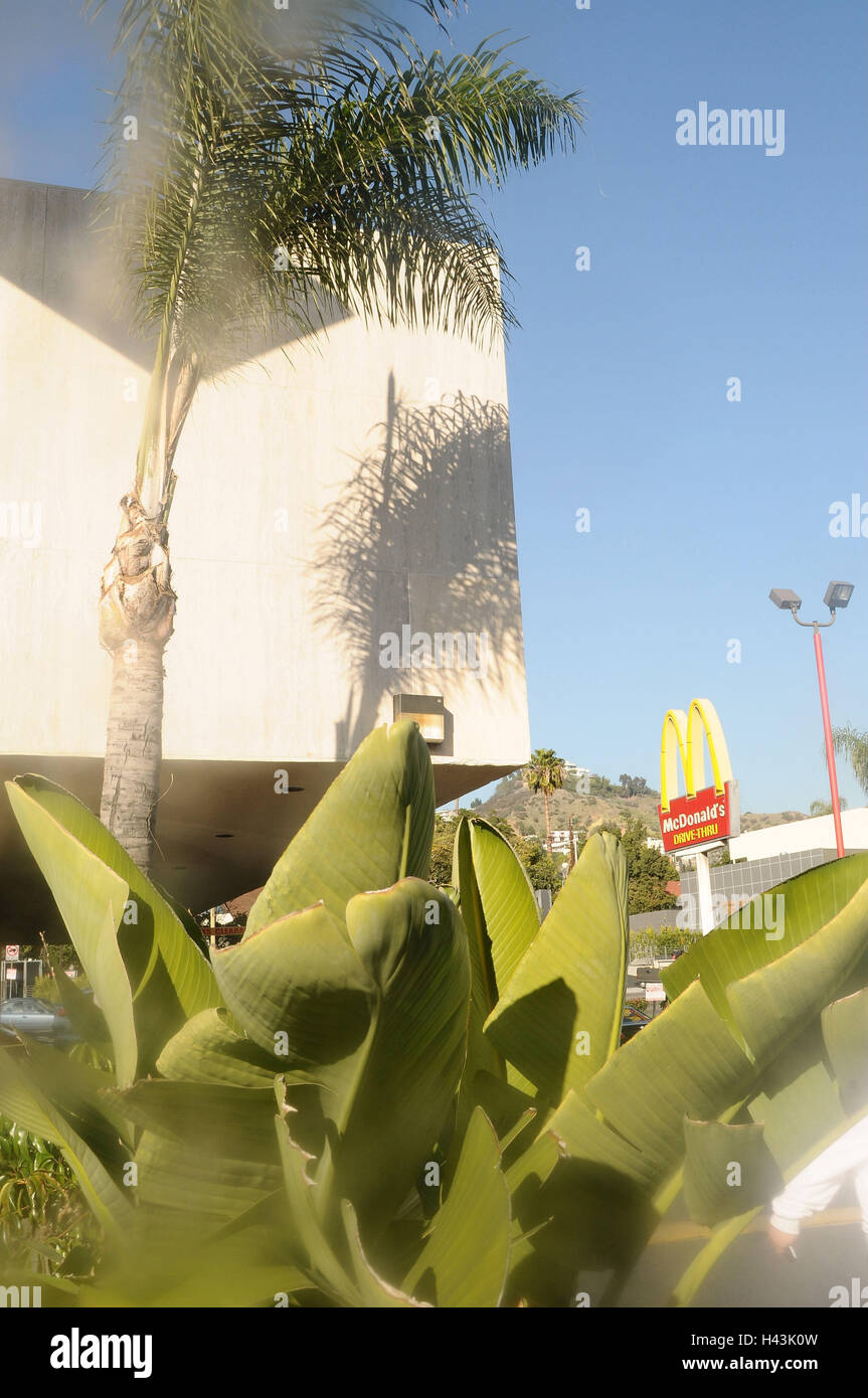 The USA, California, Los Angeles, palms, buildings, McDonald's, blur, detail, fast food, fast food restaurant, logo, M, bow, plants, light, shade, summer, holidays, vacation, heaven, leaves, sunny, outside, deserted, Stock Photo