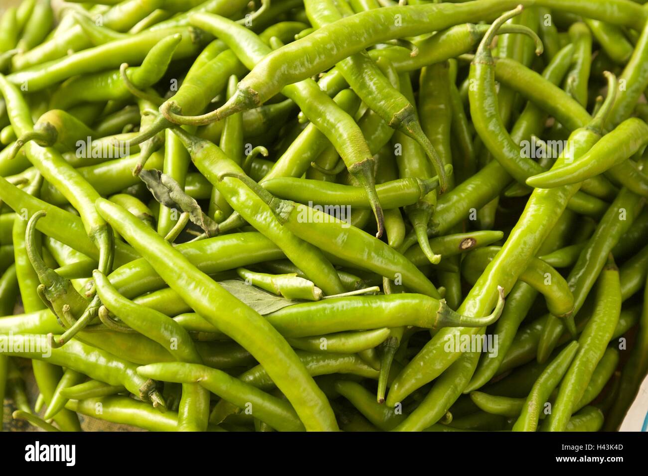 Green Chilli Padi, Bird's Eye Chilli, Bird Chilli, Thai pepper Stock