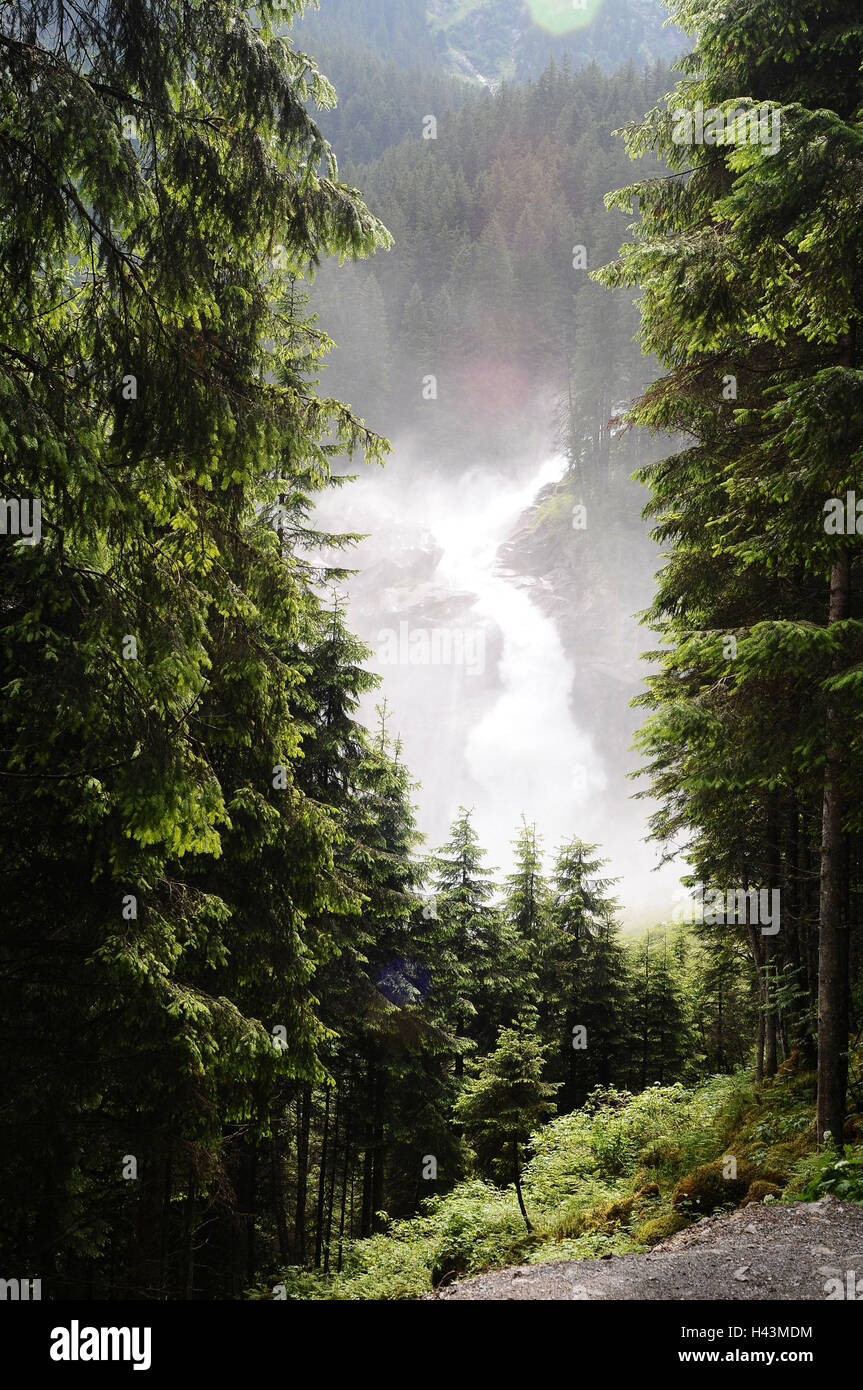 Austria, Krimml Waterfalls, Mountain Forest Stock Photo - Alamy