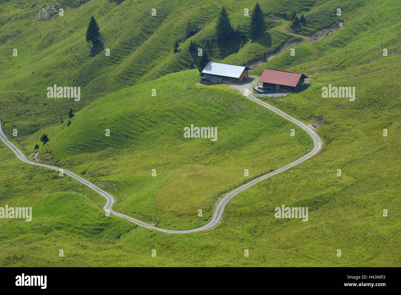 Switzerland, Bernese Oberland, Habkern, alp, mountain huts, path ...