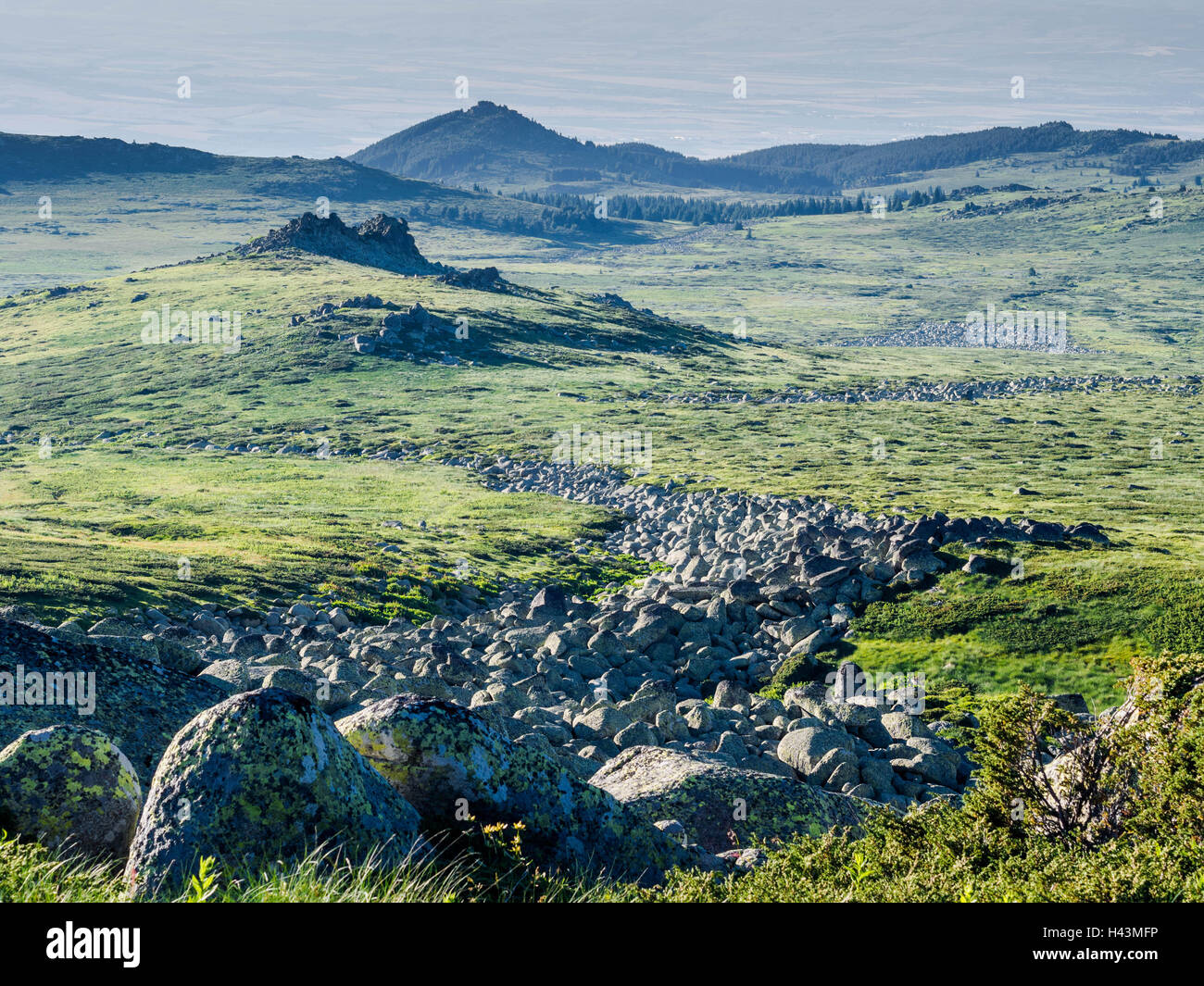 Vitosha National Park, Sofia, Bulgaria Stock Photo - Alamy