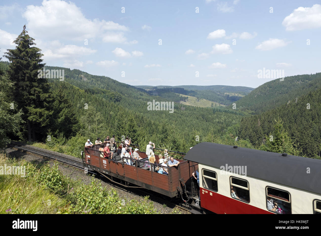 Rice train, rail convertible, resinous-across trajectory and lump trajectory, wood, compulsion valley, scenery, Stock Photo