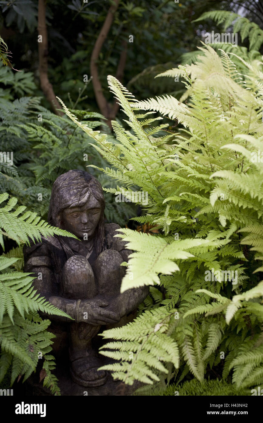 Northern Ireland, Belfast, botanical garden, palm house, plants Stock ...