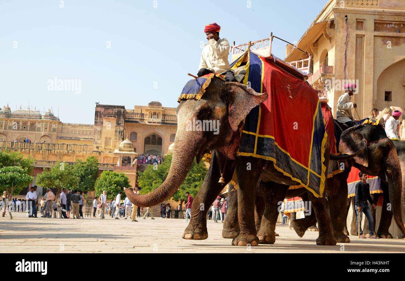 Mahout riding Elephant at Amber fort Stock Photo