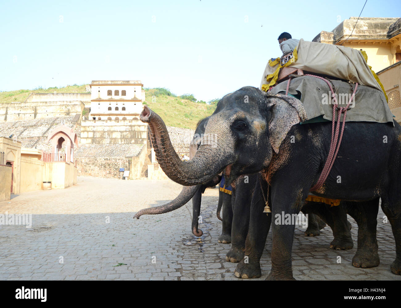 Mahout riding Elephant at Amber fort Stock Photo
