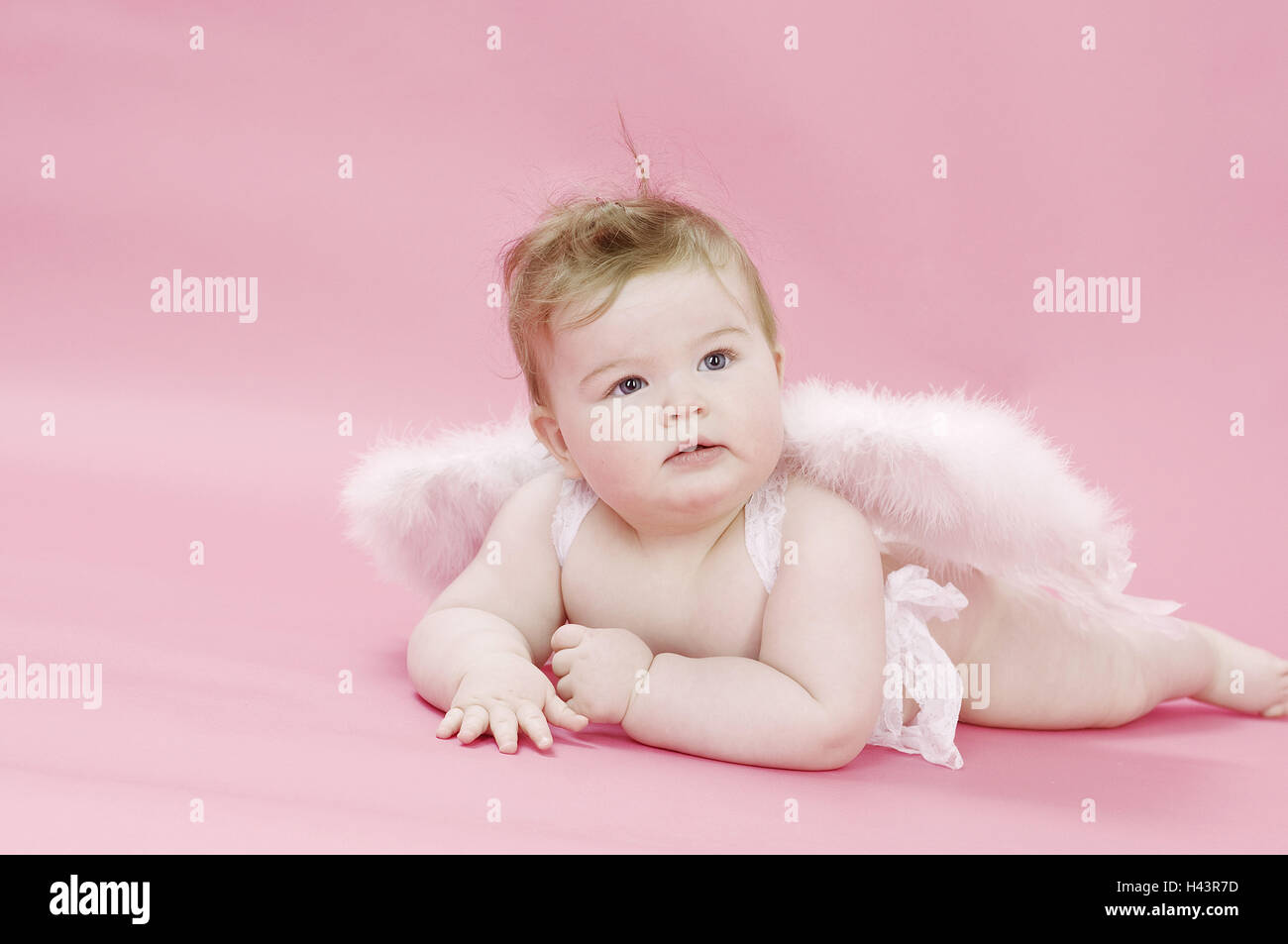 Infant, nude, angel's wing, lying, studio, Stock Photo