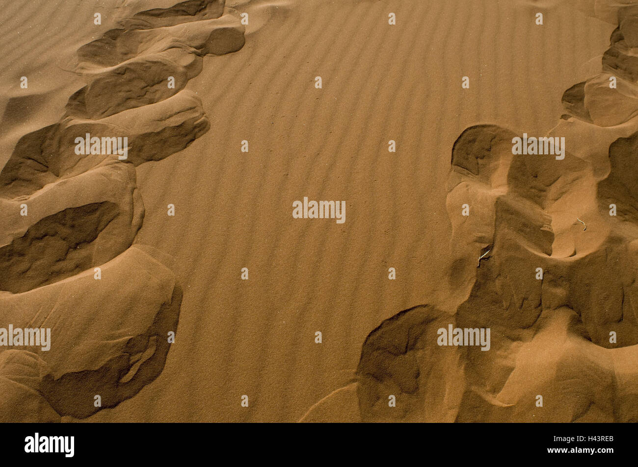 Africa, Namibia, Namibrand pool, Namibwüste, Wolwedans, sandy soil, tracks, scenery, dune, Sand dune, Sand, footprints, impressions, detailed view, nobody, Rippelmarken, background, Stock Photo
