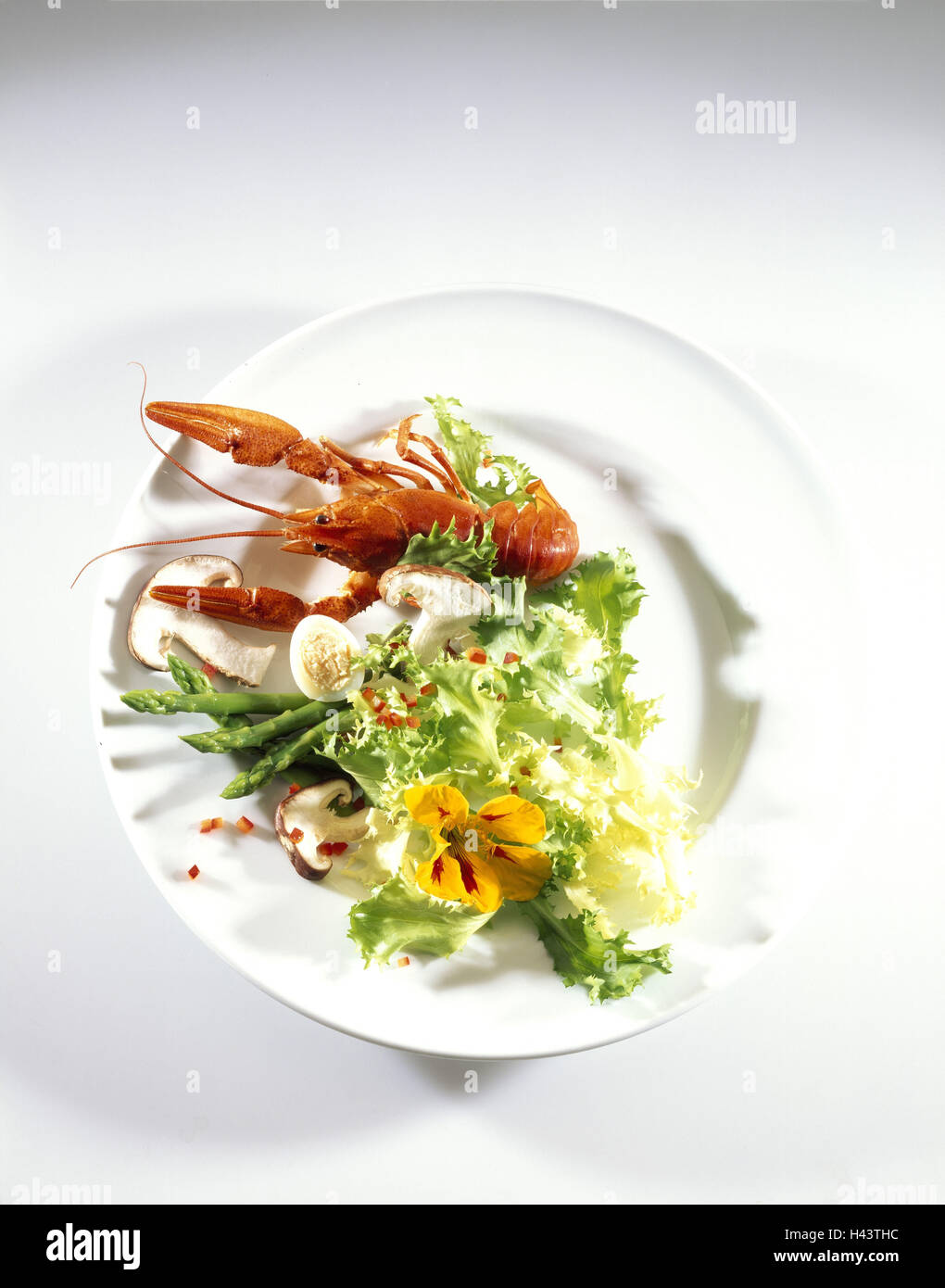 Plate, crayfish, quail eggs, asparagus, salad, Stock Photo