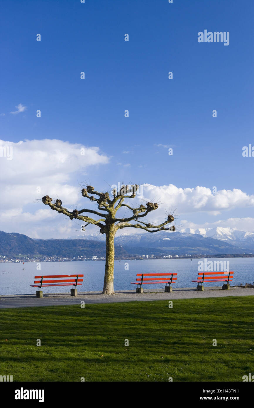 Germany, Bavaria, Swabia, Lake Constance, Lindau, winter mood, sea promenade, Stock Photo