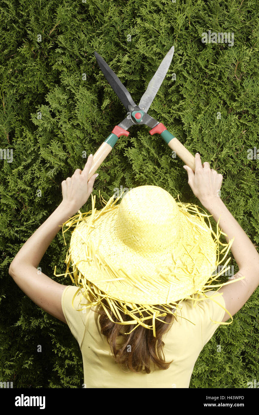 Cut back hedge hires stock photography and images Alamy