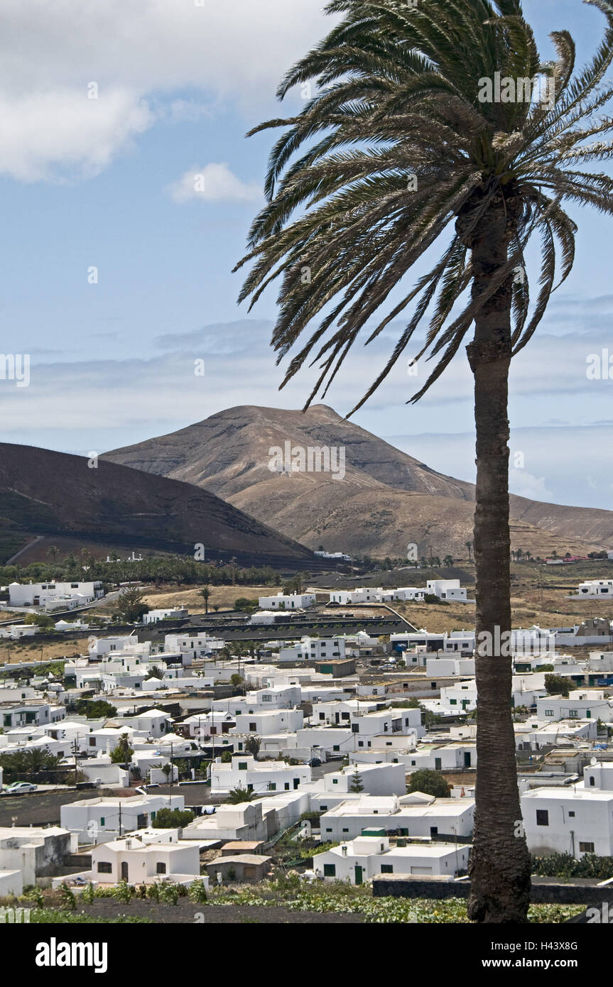 Spain, Canary islands, Lanzarote, Uga, local view, palm, volcano scenery, Stock Photo