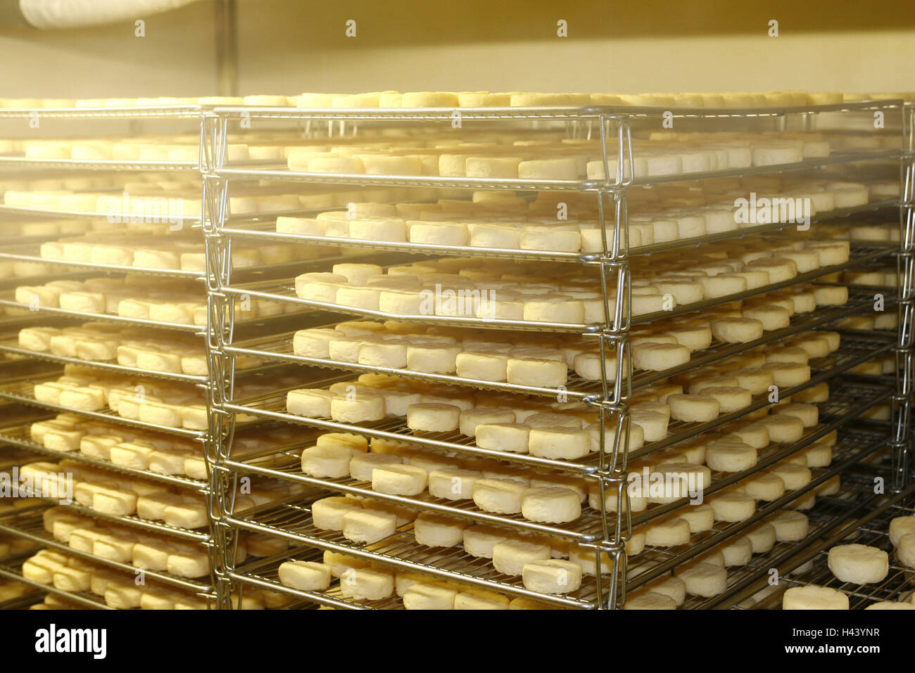 Cheese dairy, maturity chamber, gratings, Käselaiber, Stock Photo