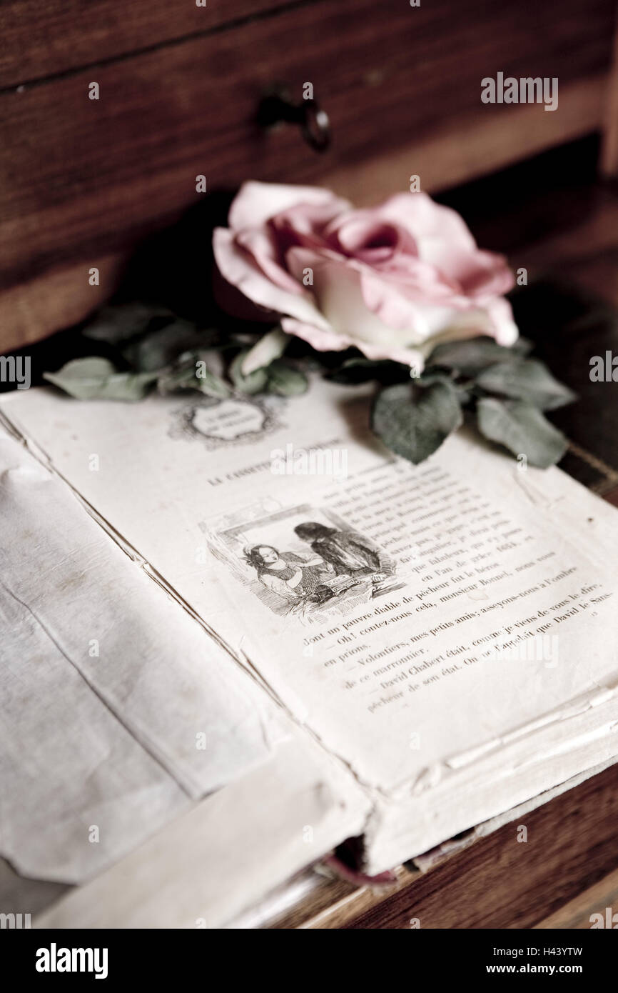 Chest of drawers, book, old, antique, opened, rose, Stock Photo