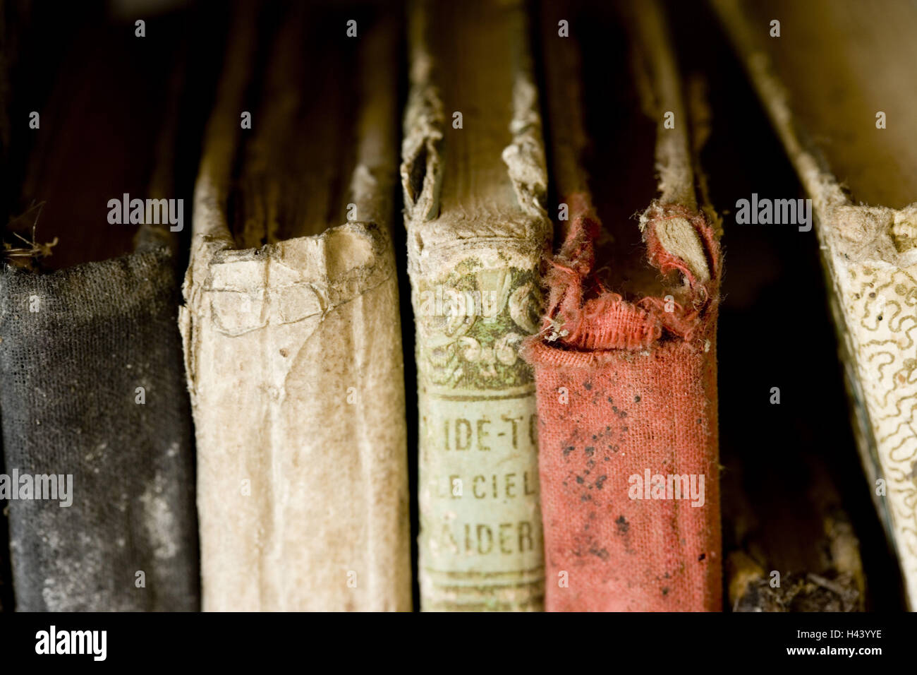 Books, old, antique, book spines, damaged, closeup Stock Photo Alamy