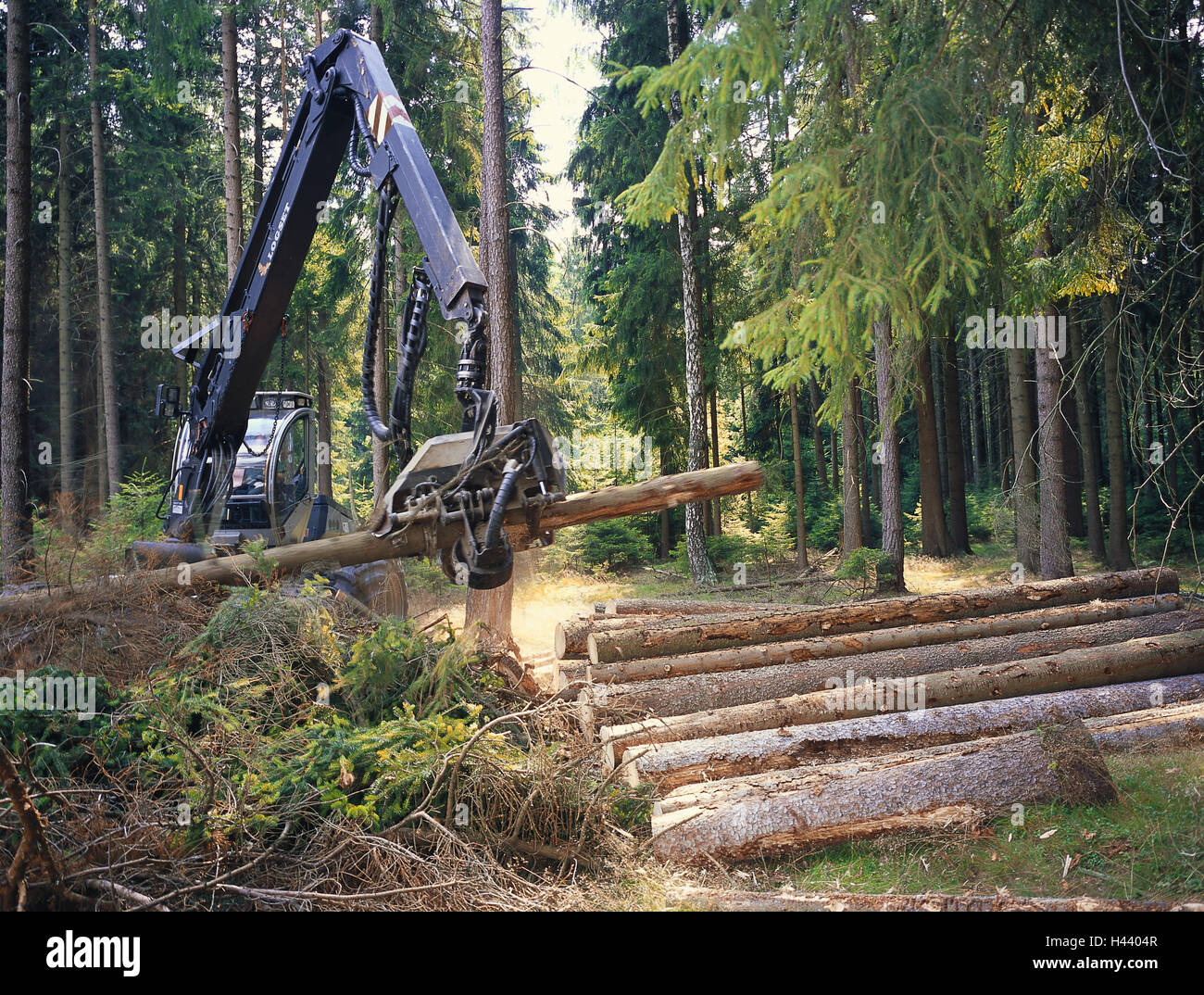 Spruce forest, wooden back machine, forest works, wood, forest, forest ...