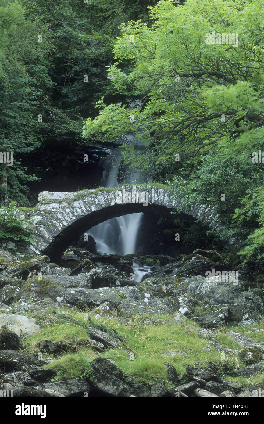 Great Britain, Scotland, Glen Lyon, stone bridge, waterfall, forest brook, summer, Stock Photo