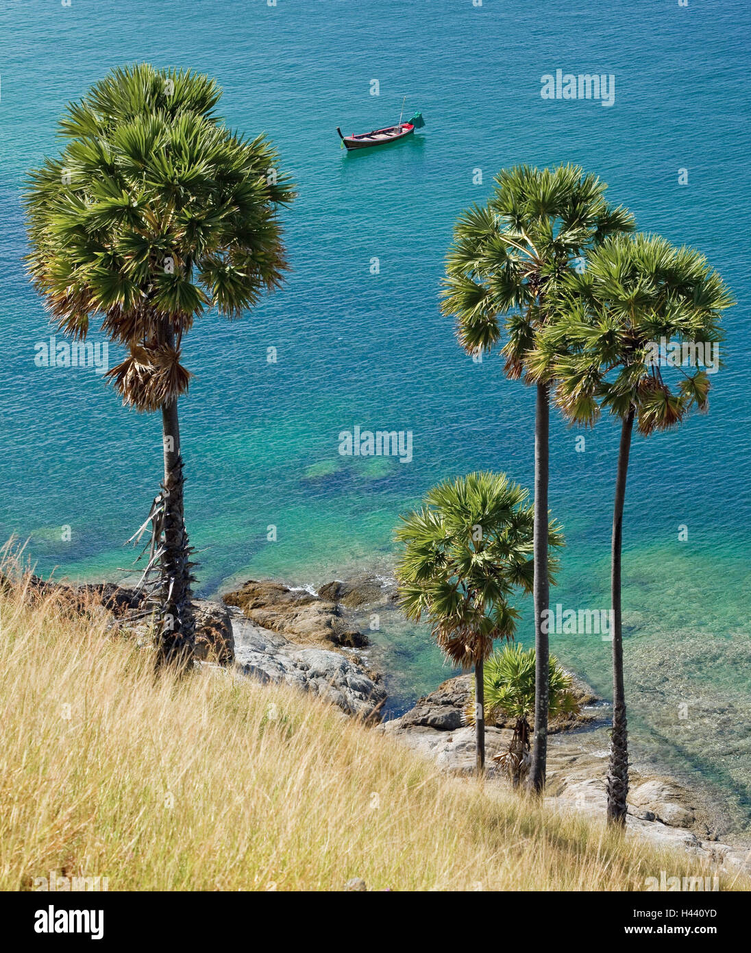 Palm trees beach thailand hi-res stock photography and images - Alamy