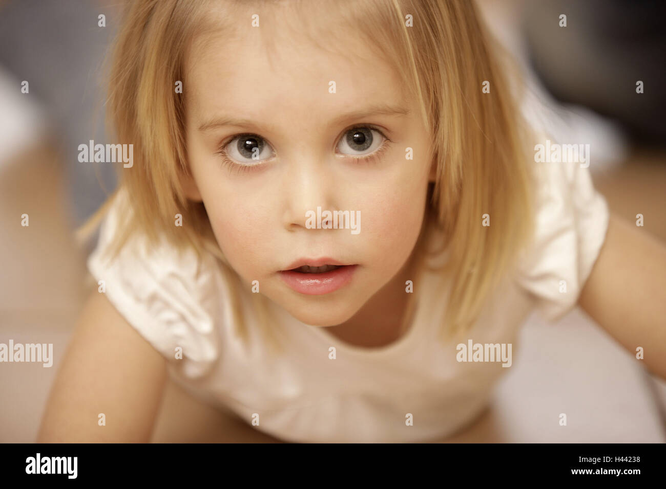 Big saucer eyes hires stock photography and images Alamy