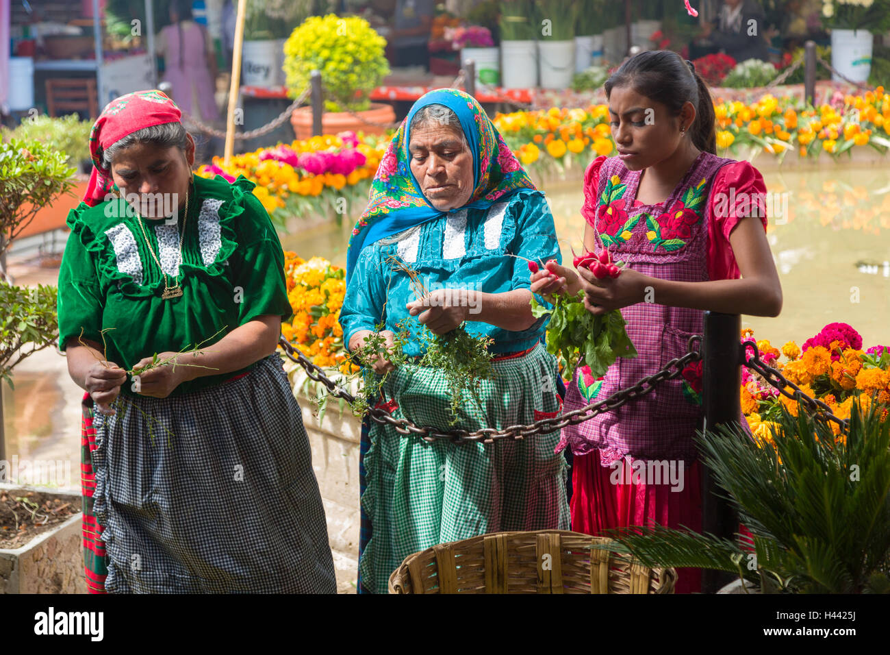 Zapotec women selling fresh cut flowers at the Sunday market in Tlacolula de Matamoros, Mexico. The regional street market draws thousands of sellers and shoppers from throughout the Valles Centrales de Oaxaca. Stock Photo