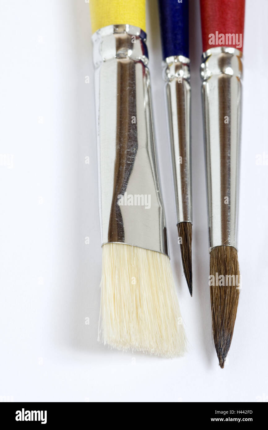 Brushes, three, differently, painting brush, paint, bristles, pointed