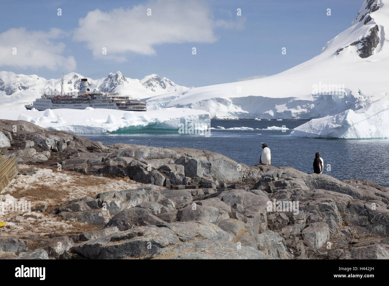 Antarctic, Antarctic Ocean, coastal region, cruise ship Marco Polo, Stock Photo