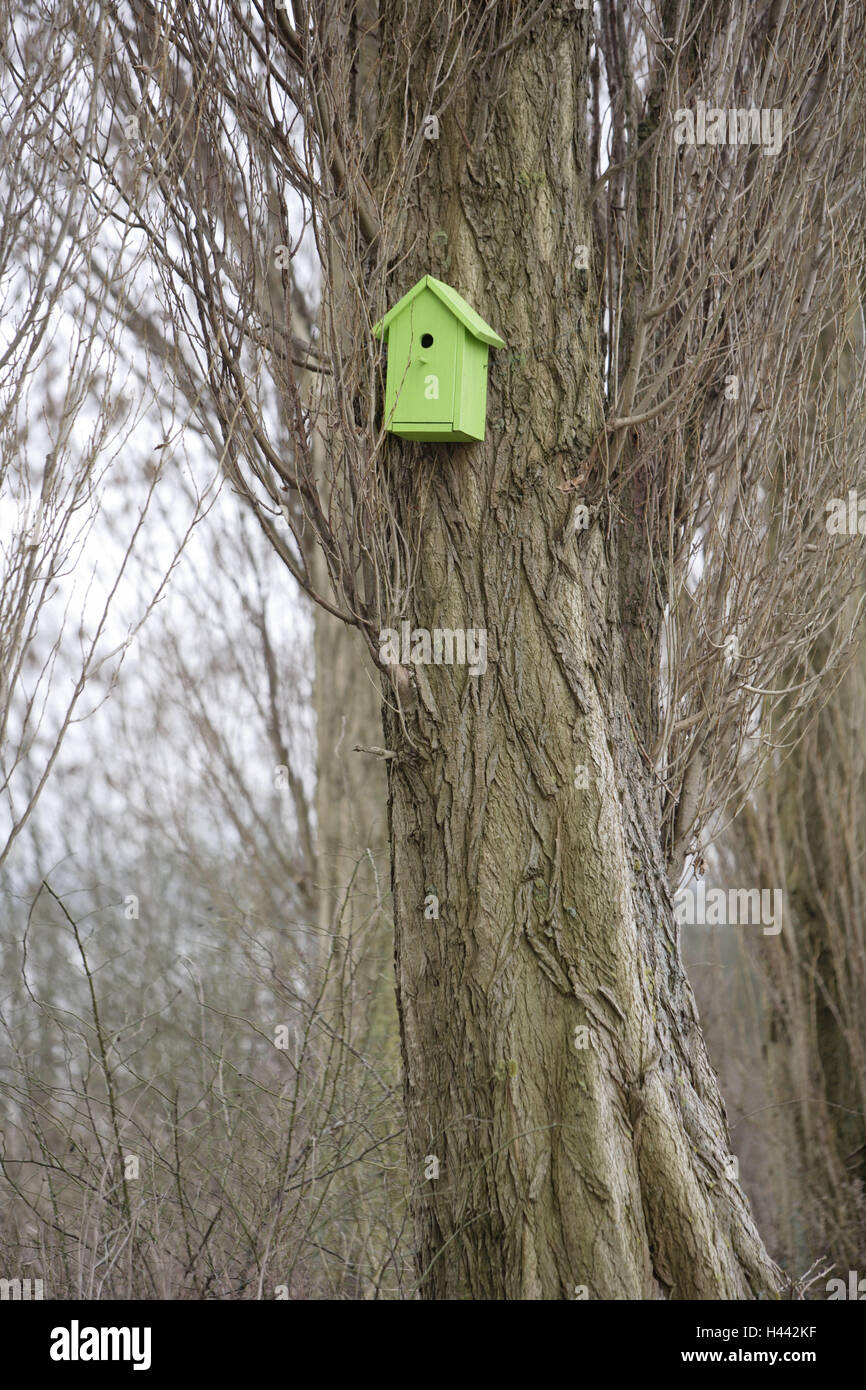 Wood, trees, nesting box, green, trunk, bird's nesting box, bird's cases, breeding place, nesting site, nesting place, hatch, nature, nature conservation, animal-loving, protection birds, bird's friend, icon, brood help, Stock Photo