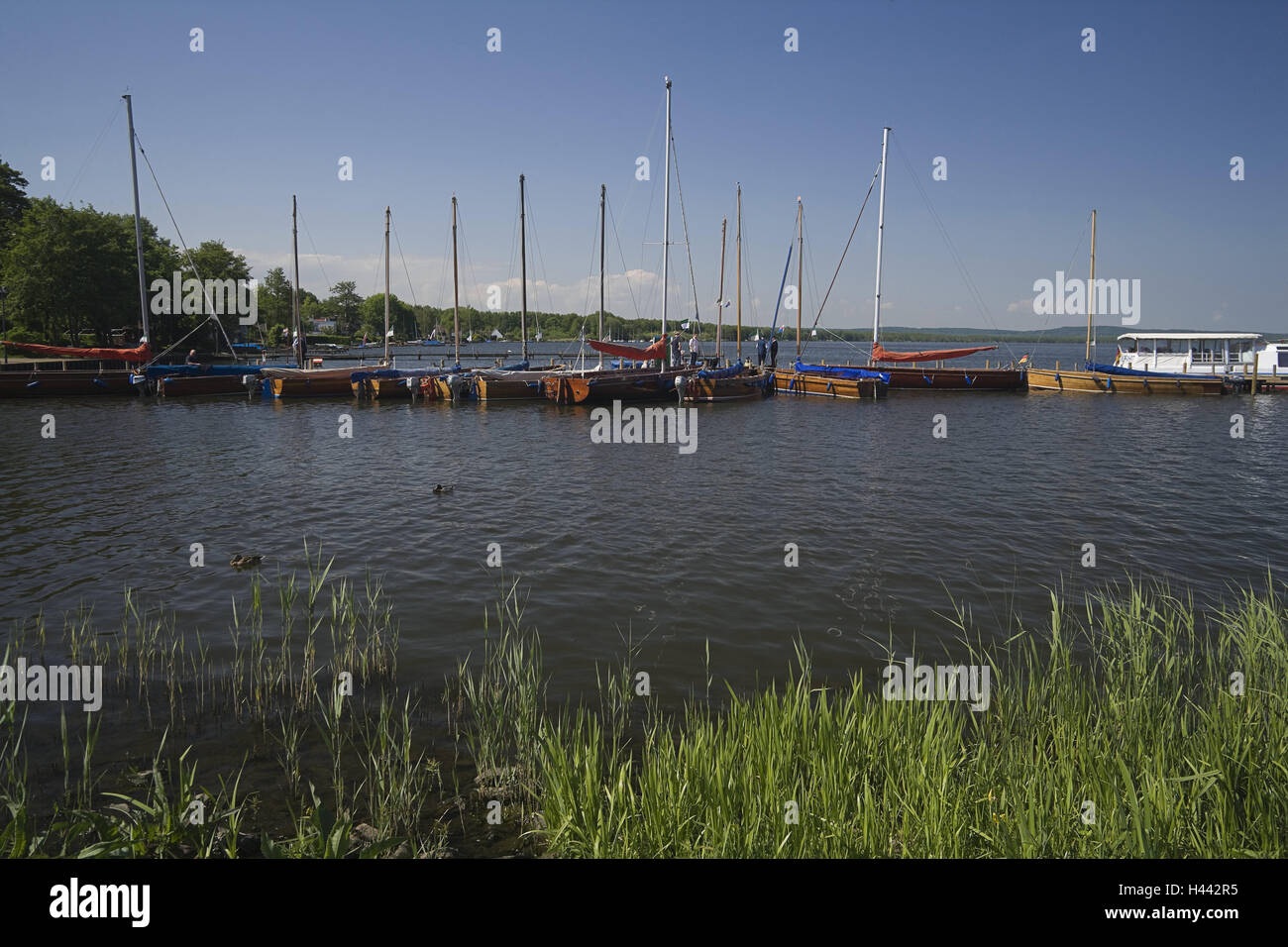 Germany, Lower Saxony, Steinhude, harbour, Steinhuder sea, Wunstorf, part of town, scenery, lake, boots, bridge, sailboats, landing stage, tourism, outside, summer, resort, inland lake, nature reserve, Stock Photo