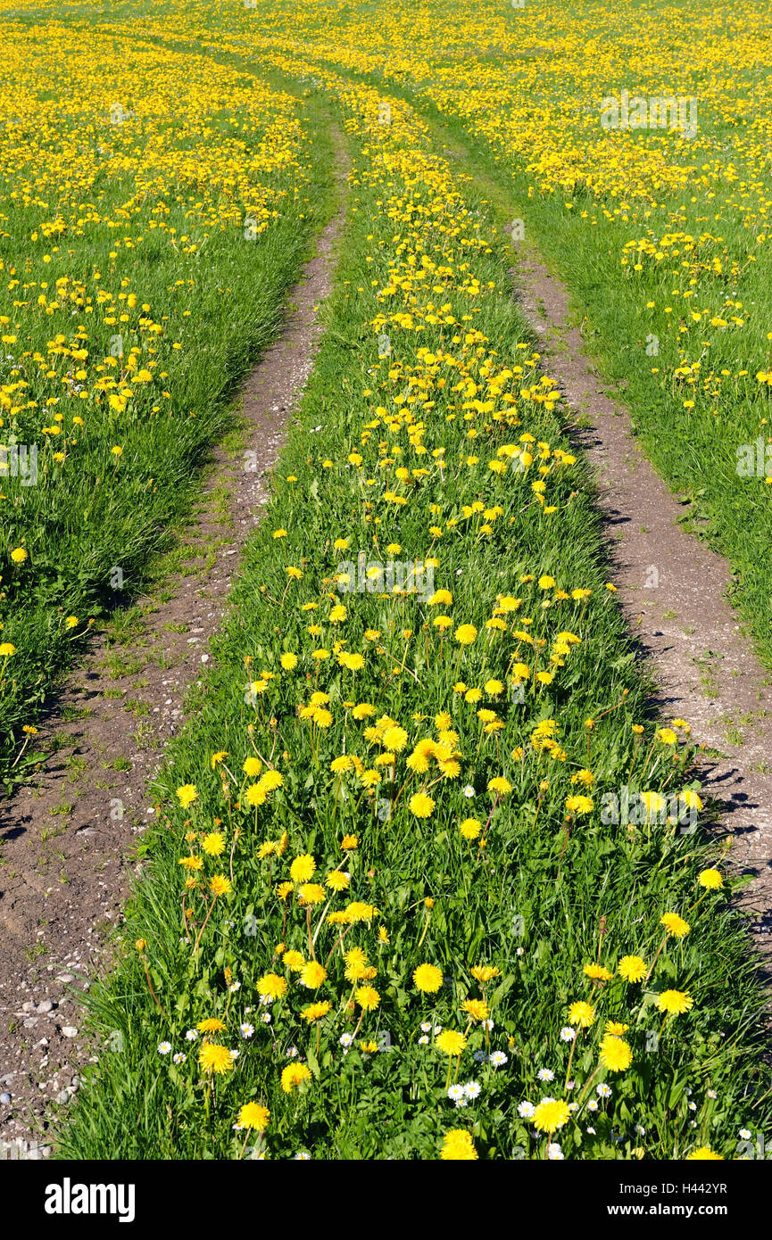 Spring way hi-res stock photography and images - Alamy