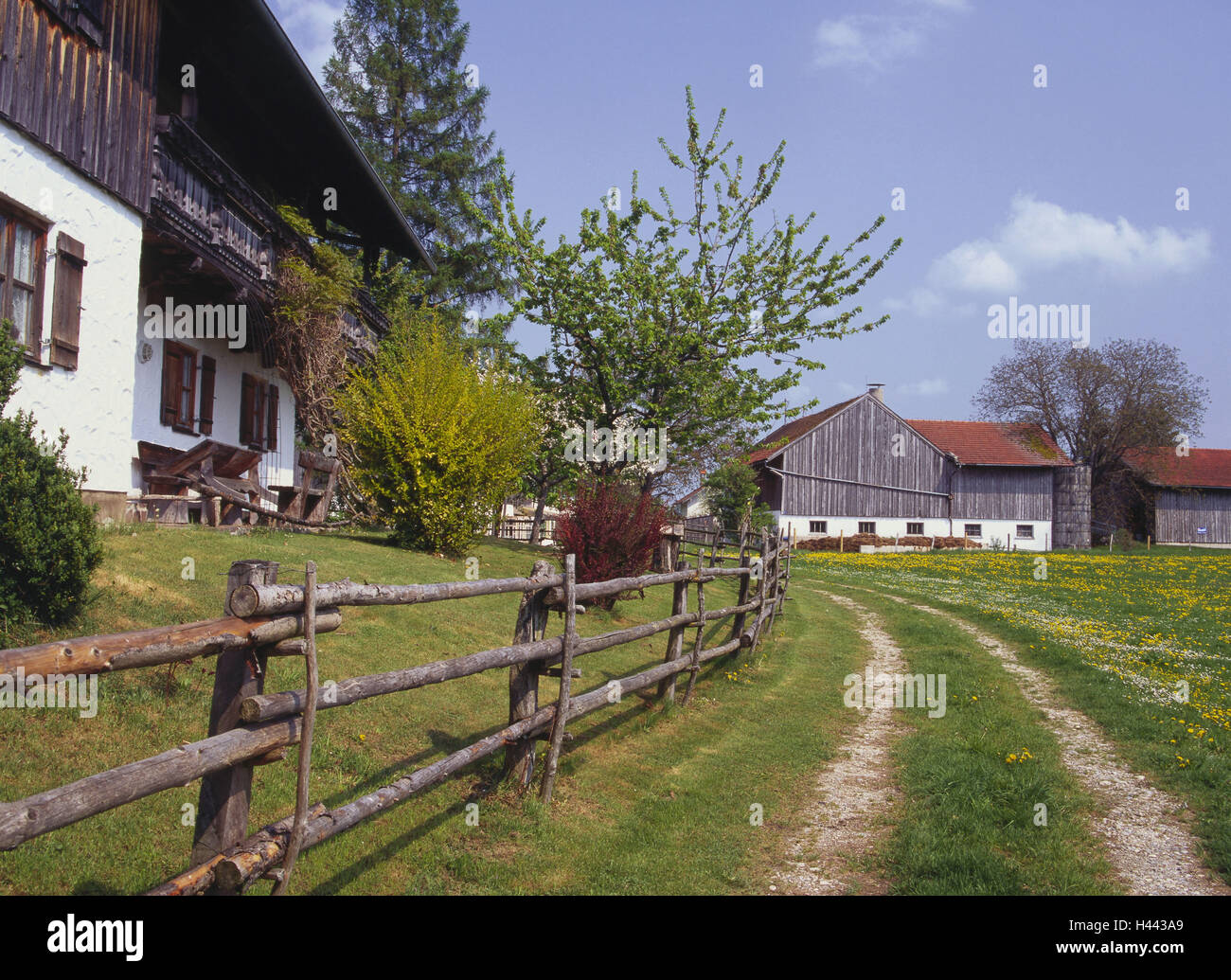 Germany, Bavaria, bath Tölz, farm, Upper Bavaria, alpine upland ...