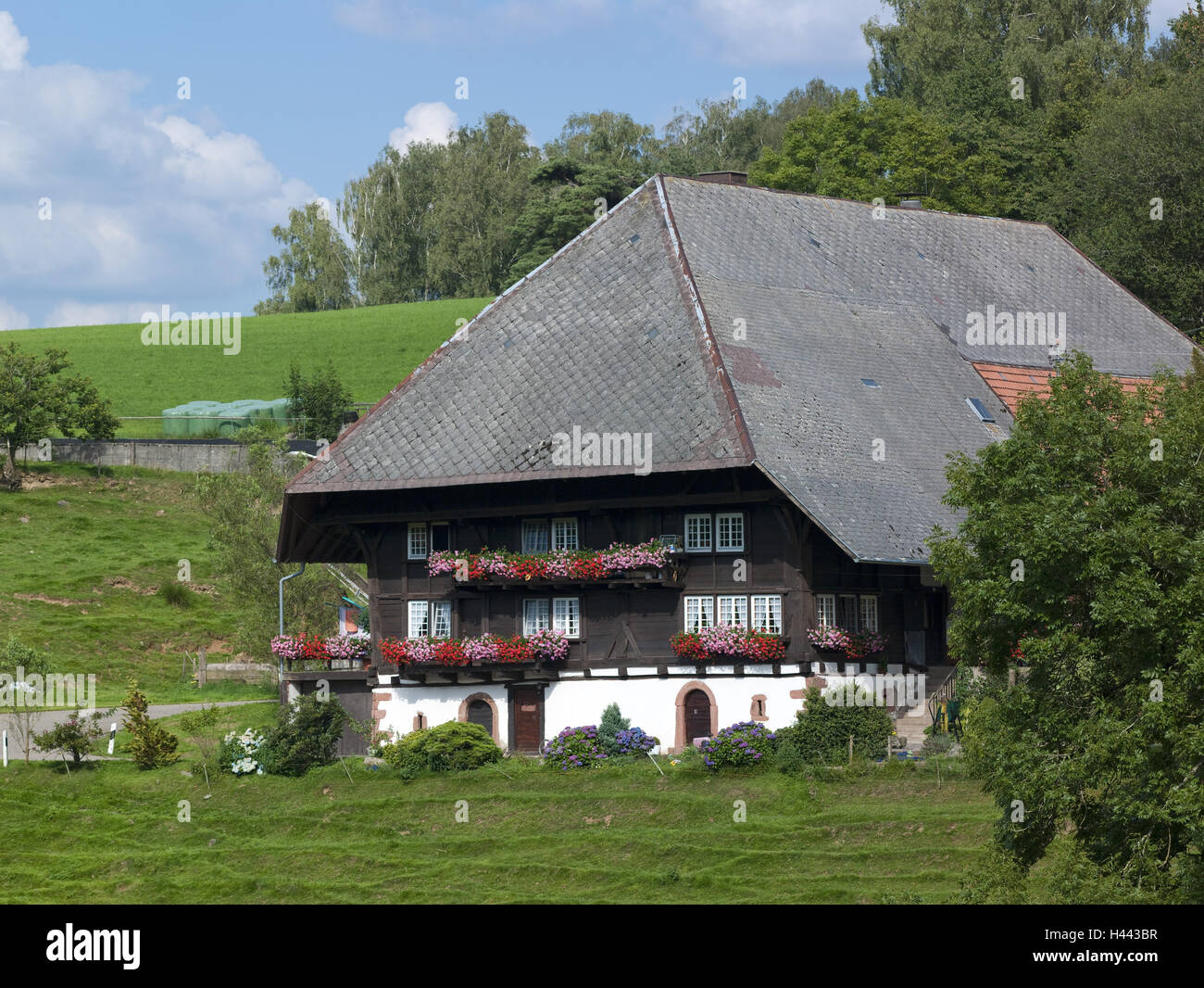Germany, Baden-Wurttemberg, mill brook-Pfauss, mat court, Black Forest house, Stock Photo