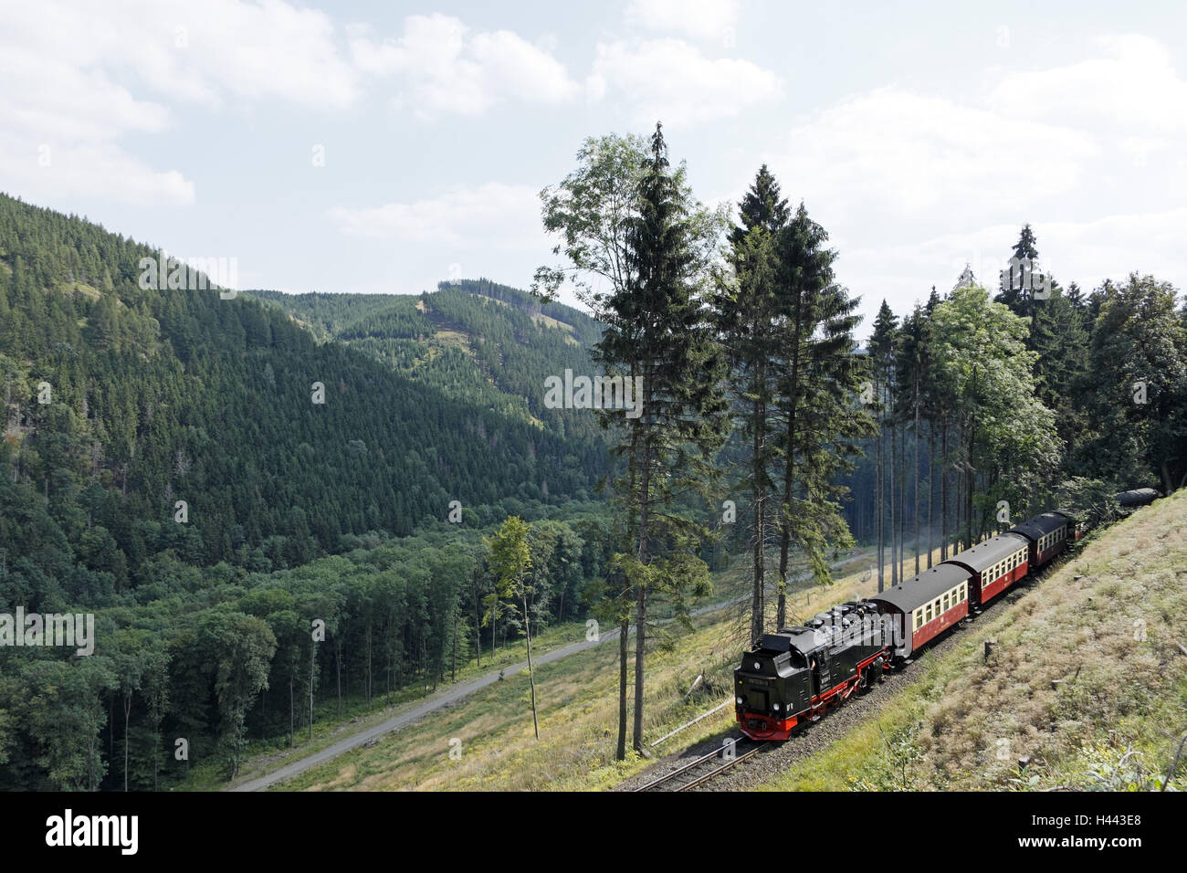 Rice train, steam locomotive, resinous-across trajectory and lump trajectory, wood, compulsion valley, scenery, Stock Photo