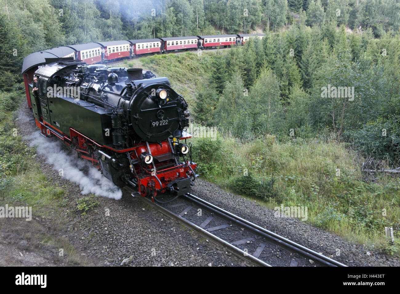 Rice train, steam locomotive, 99 222, year manufacture in 1931, travel train, resinous-across trajectory and lump trajectory, wood, compulsion valley, scenery, Stock Photo