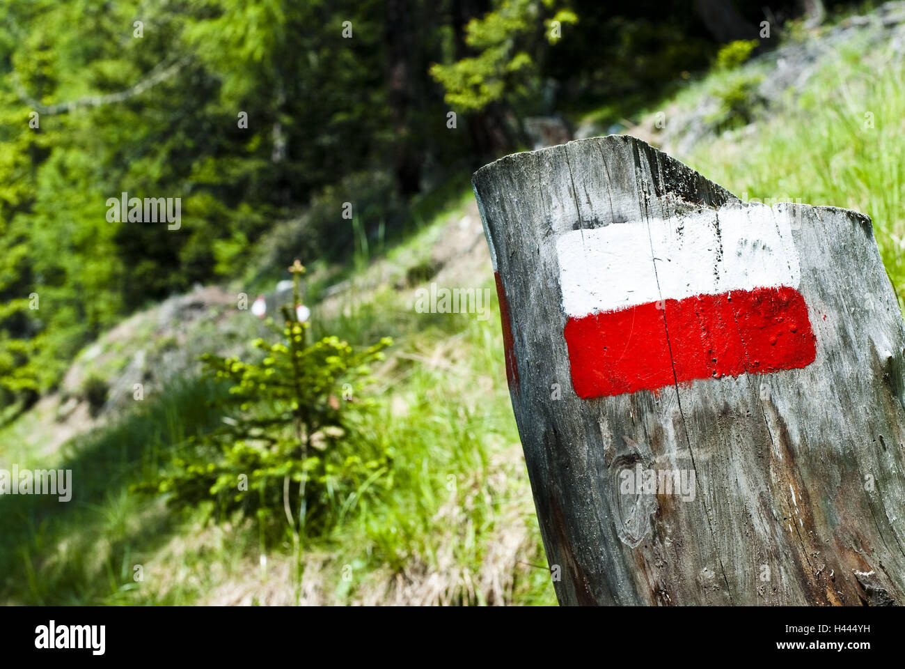 Red white mark hi-res stock photography and images - Alamy