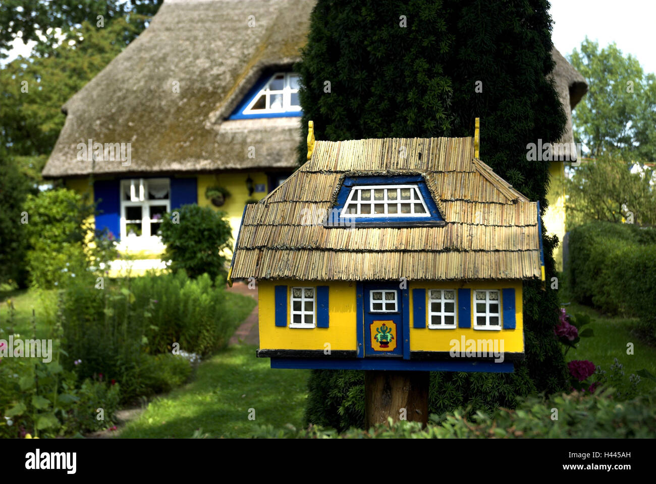 Fishing house on the Darss, Germany, the Baltic Sea, Mecklenburg-West Pomerania, Stock Photo