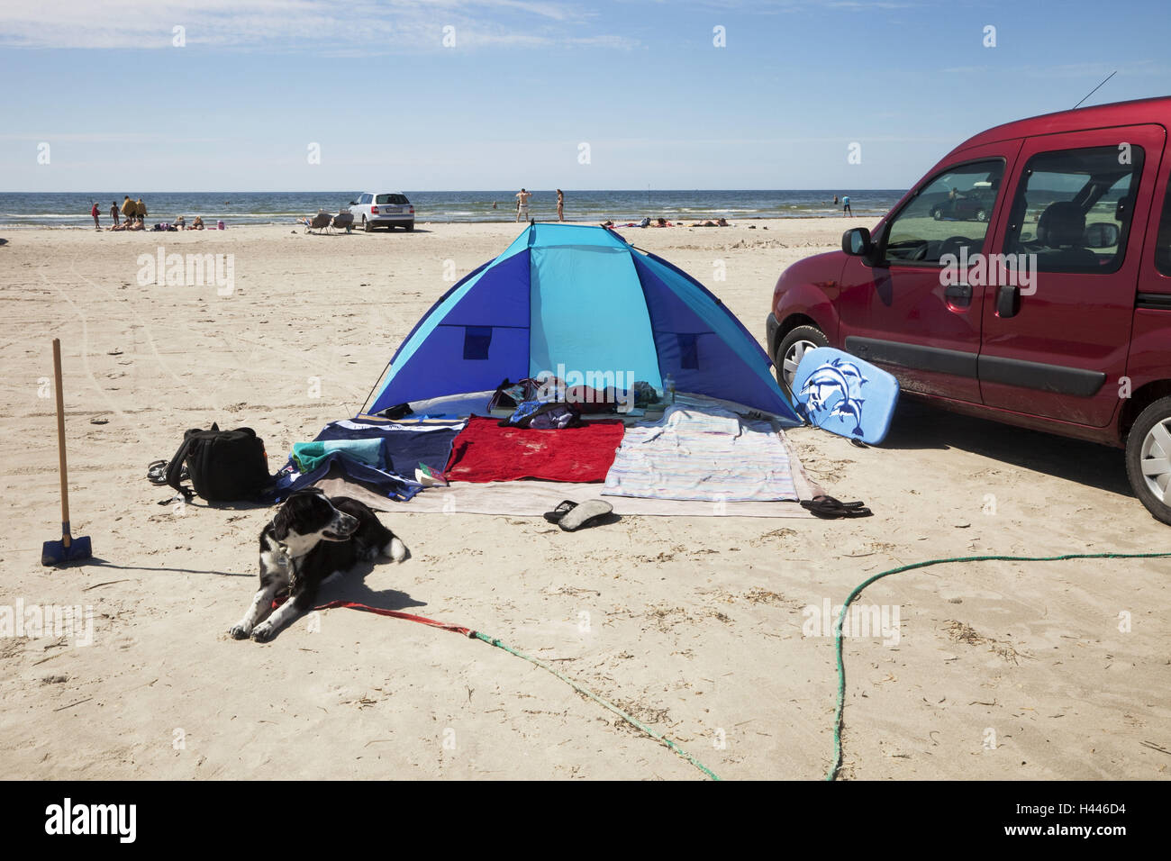 Beach, tent, dog, car, detail Stock Photo Alamy